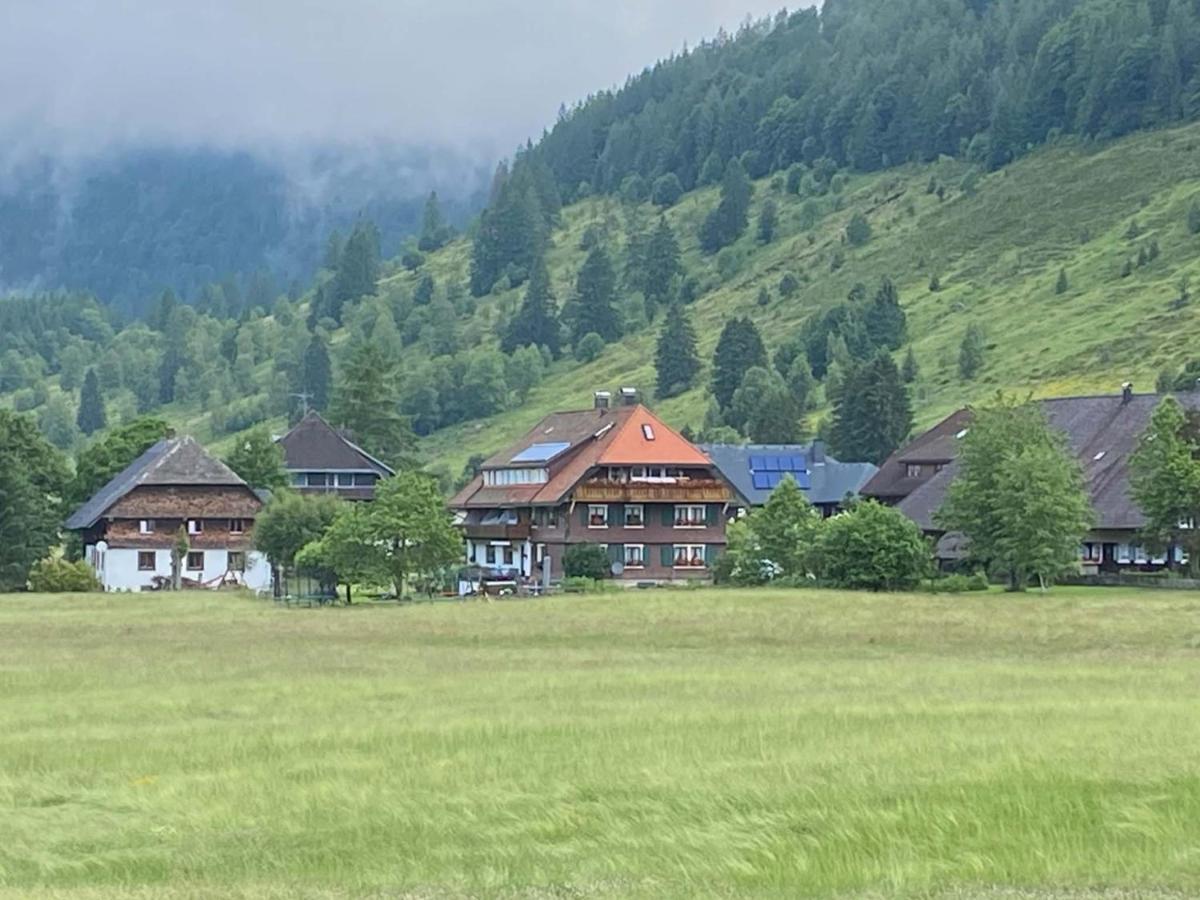 Menzenschwand-Hinterdorf 凯泽旅馆酒店 外观 照片