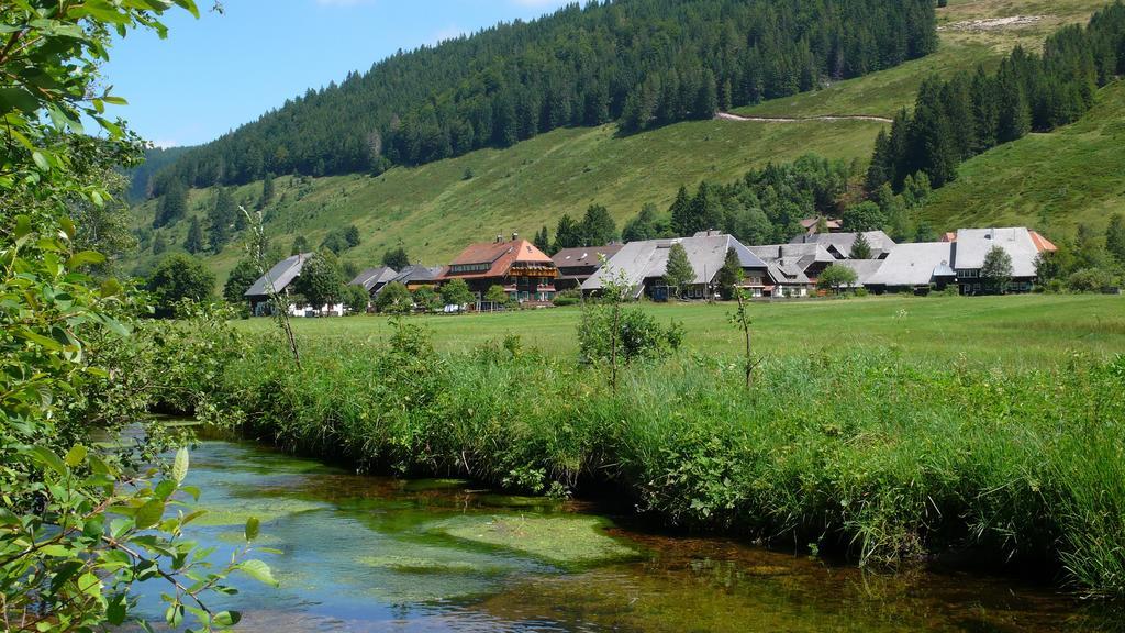 Menzenschwand-Hinterdorf 凯泽旅馆酒店 外观 照片