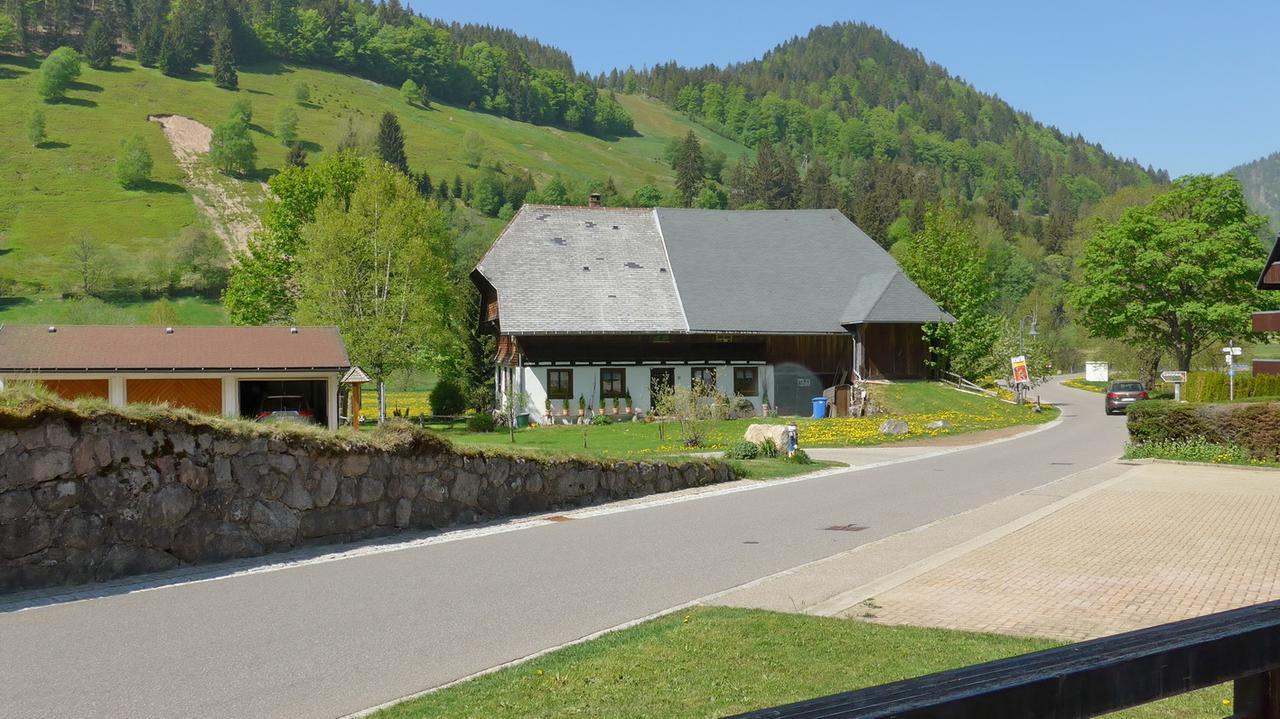Menzenschwand-Hinterdorf 凯泽旅馆酒店 外观 照片